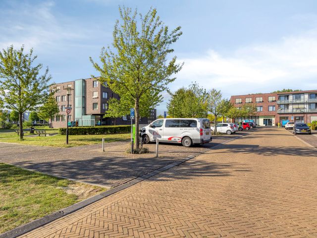 Gamander 6, Heinkenszand