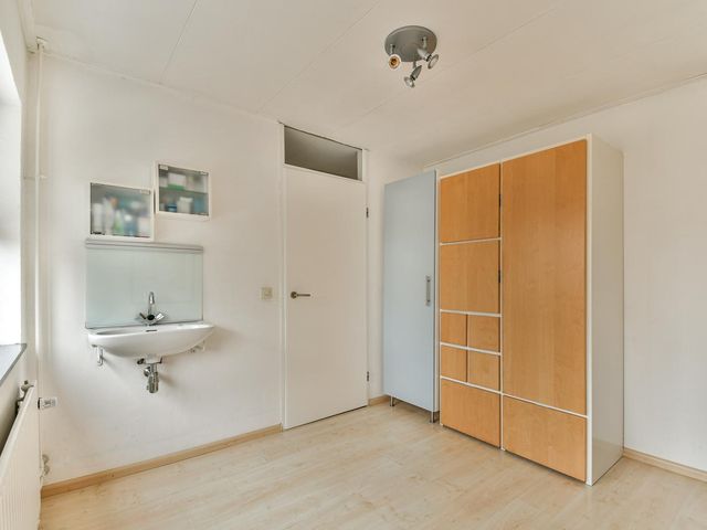 Waterlelie 9, Gouda