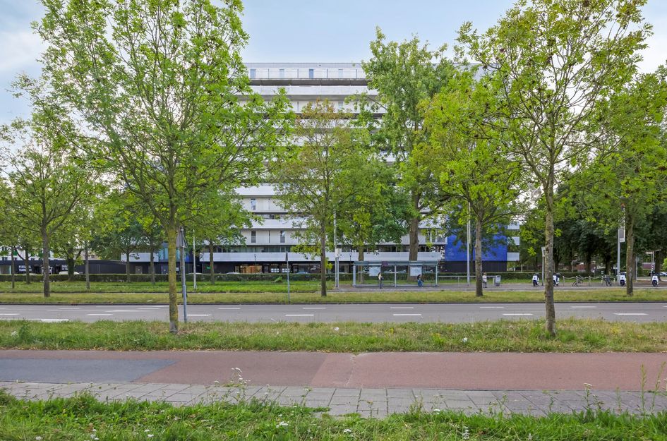 Vijfhagen 131