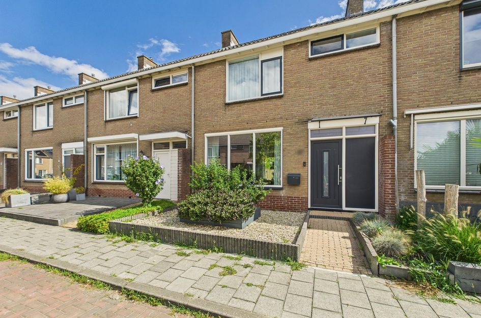 Dolfijnstraat 57