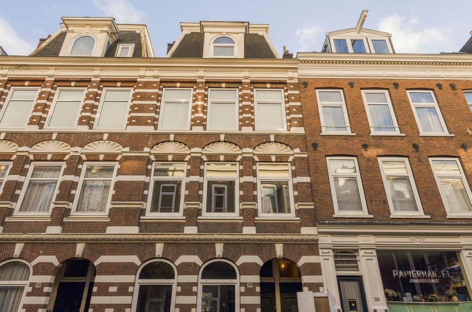 Govert Flinckstraat 244 2