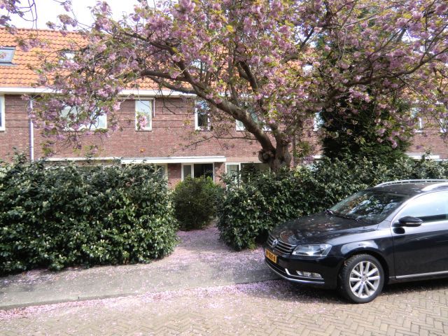 Heemraadschapslaan 10, Amstelveen