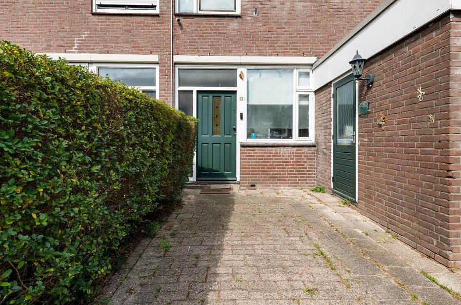 Maanzaaderf 12