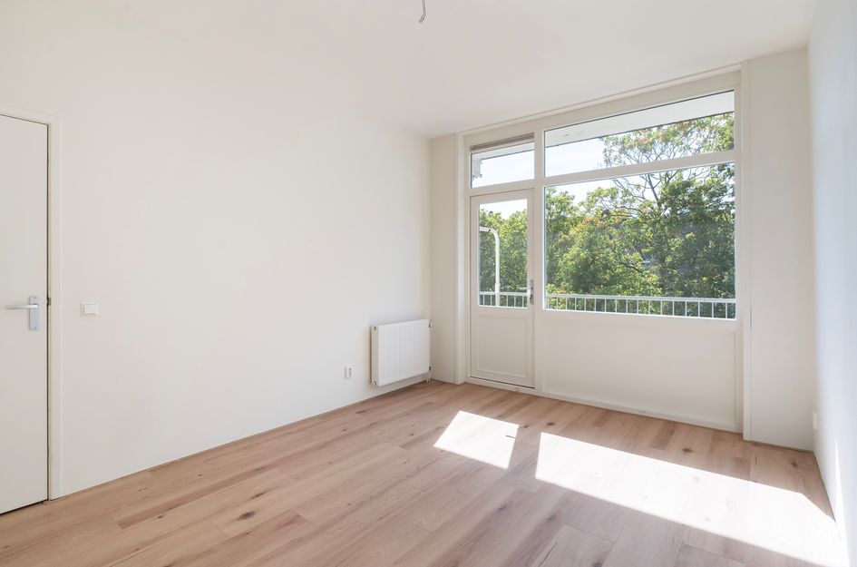 Willem Buytewechstraat 166B