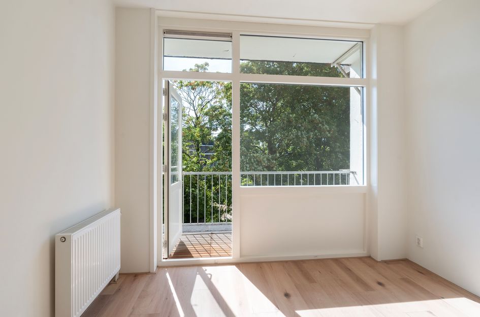 Willem Buytewechstraat 166B