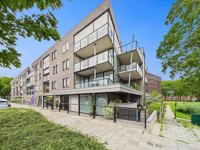 Alberdingk Thijmstraat 45, Terneuzen