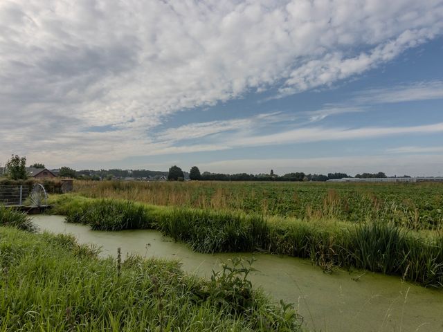 P. Groenenboomstraat 12, Rhoon