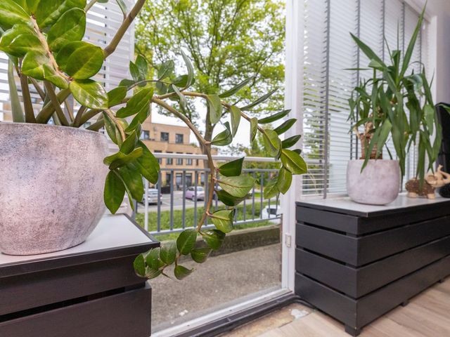 Boogschutter 24, Hoorn