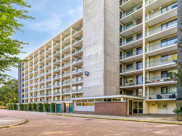Amerbos 392, Amsterdam