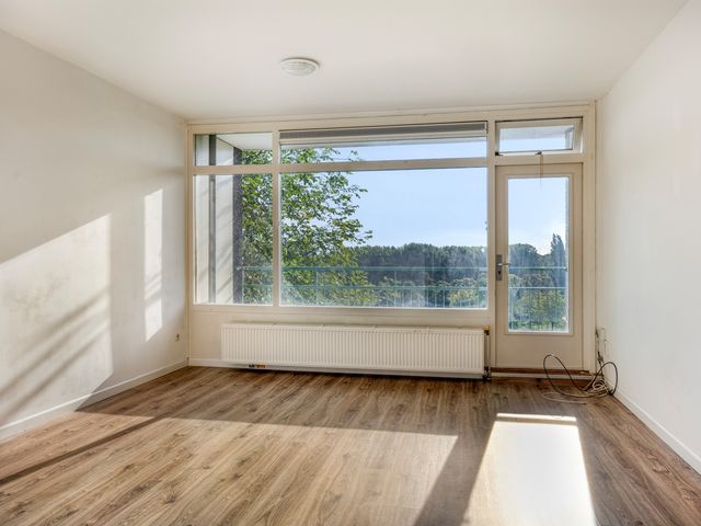 Amerbos 392, Amsterdam