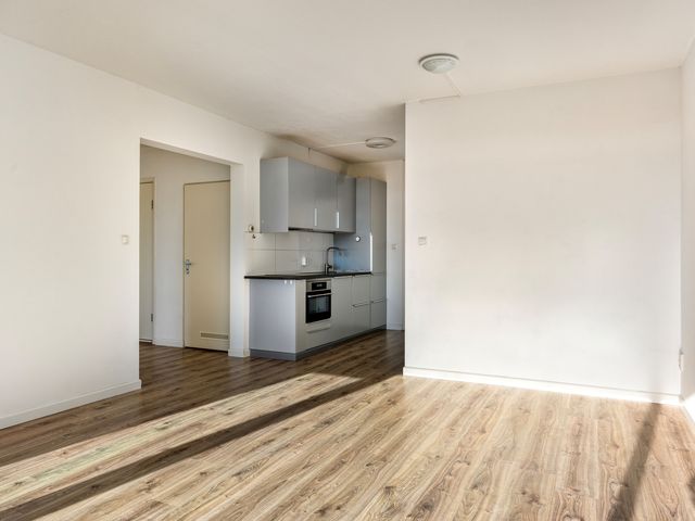 Amerbos 392, Amsterdam