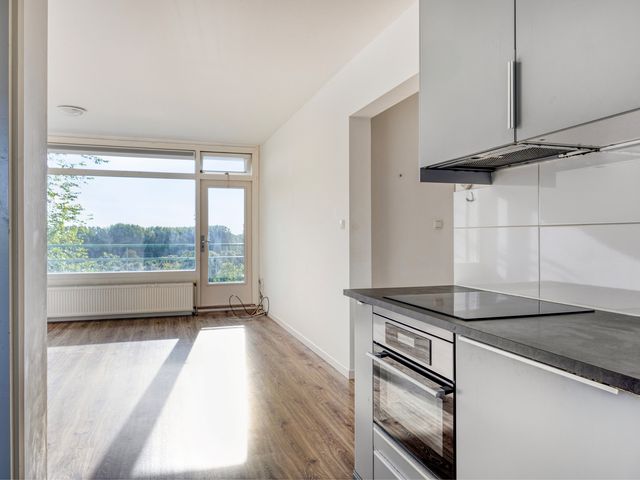 Amerbos 392, Amsterdam