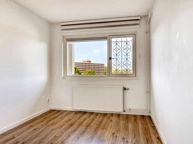 Amerbos 392, Amsterdam