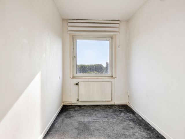 Amerbos 392, Amsterdam