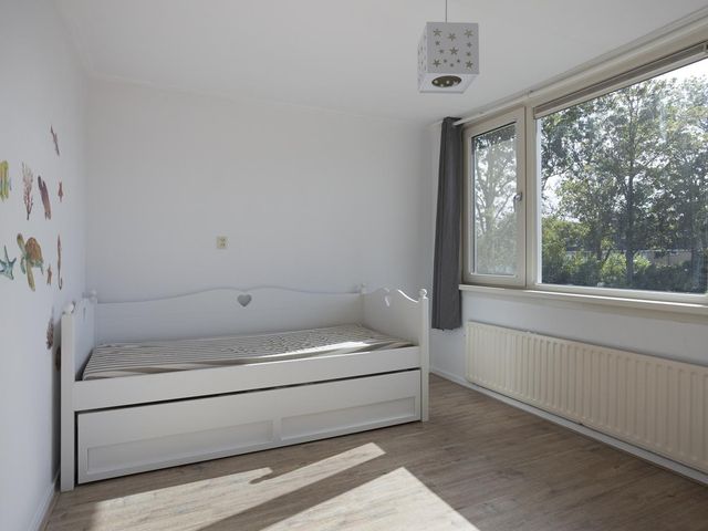 Buddlejalaan 52, Heerhugowaard