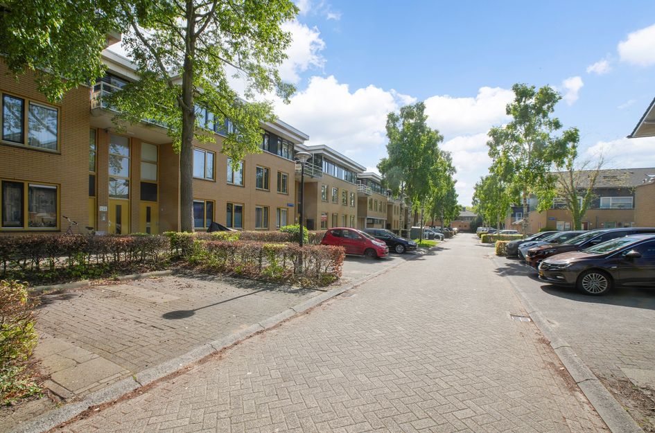Voorjaarstraat 32