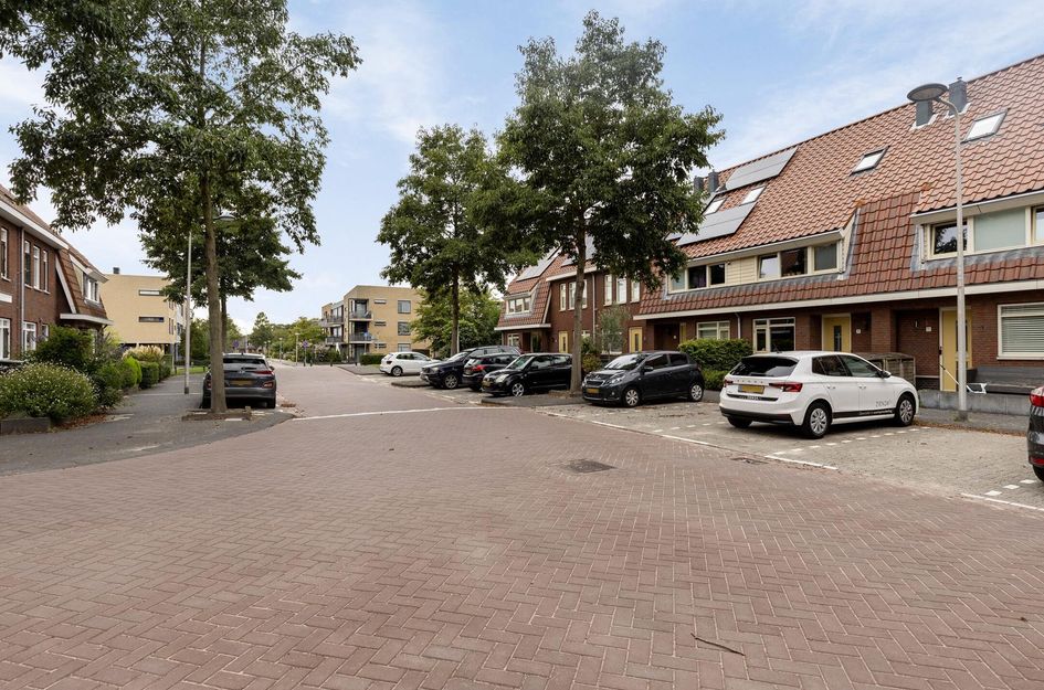 Albert van Schoonhovenln 7