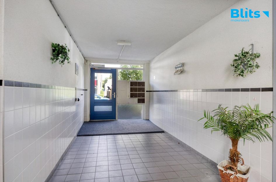 Gerard Doustraat 5