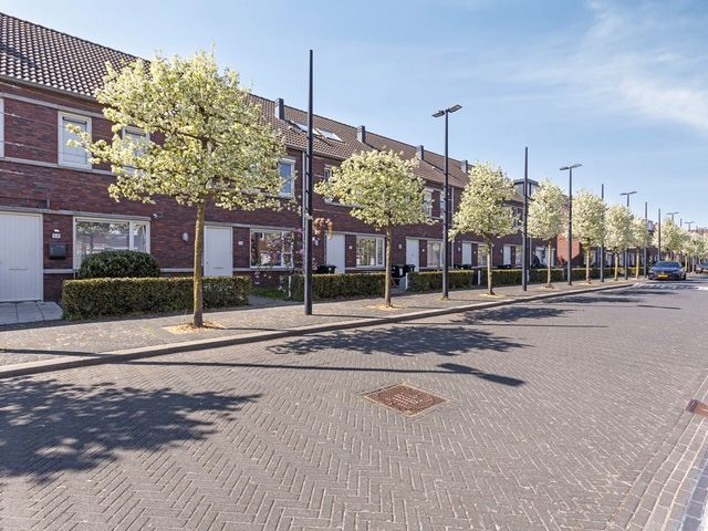 Ethekwini 56, Amsterdam