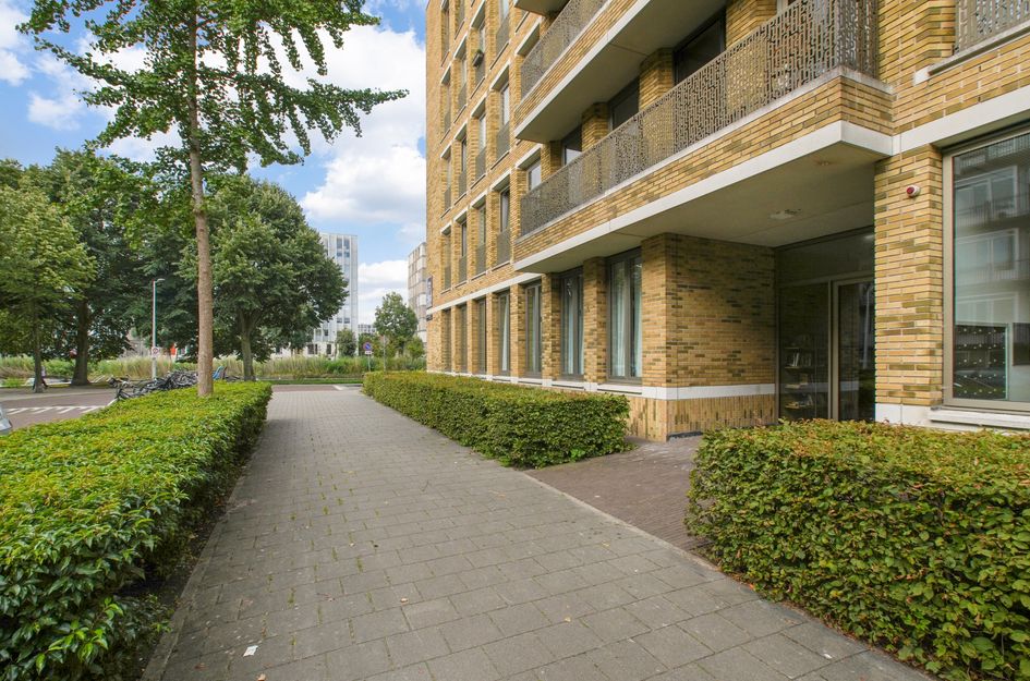 Blauwvoetstraat 17