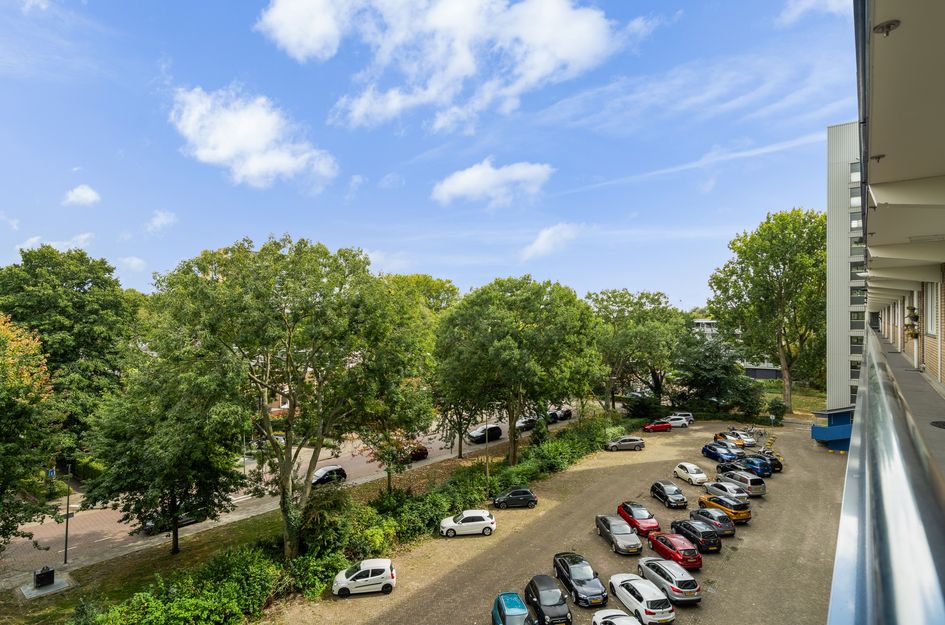Holysingel 196