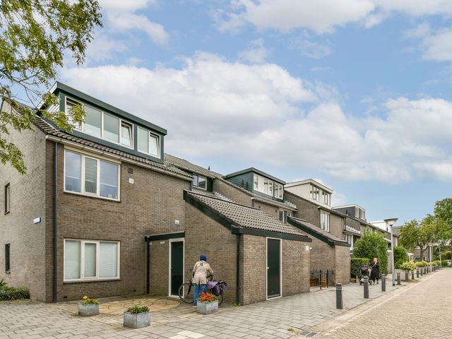 Doppenmolen 11, Koog aan de Zaan