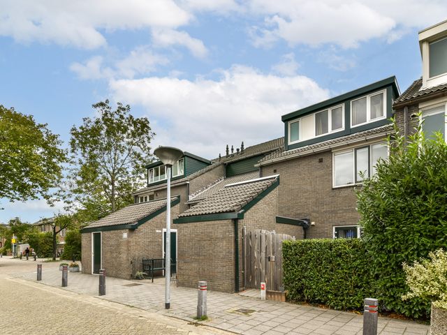 Doppenmolen 11, Koog aan de Zaan