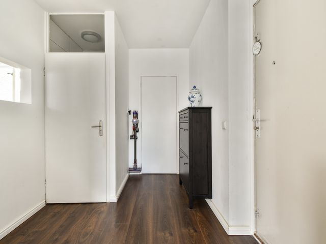 Doppenmolen 11, Koog aan de Zaan