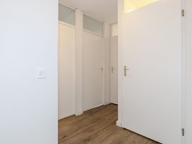Ooghduyne 205, Julianadorp