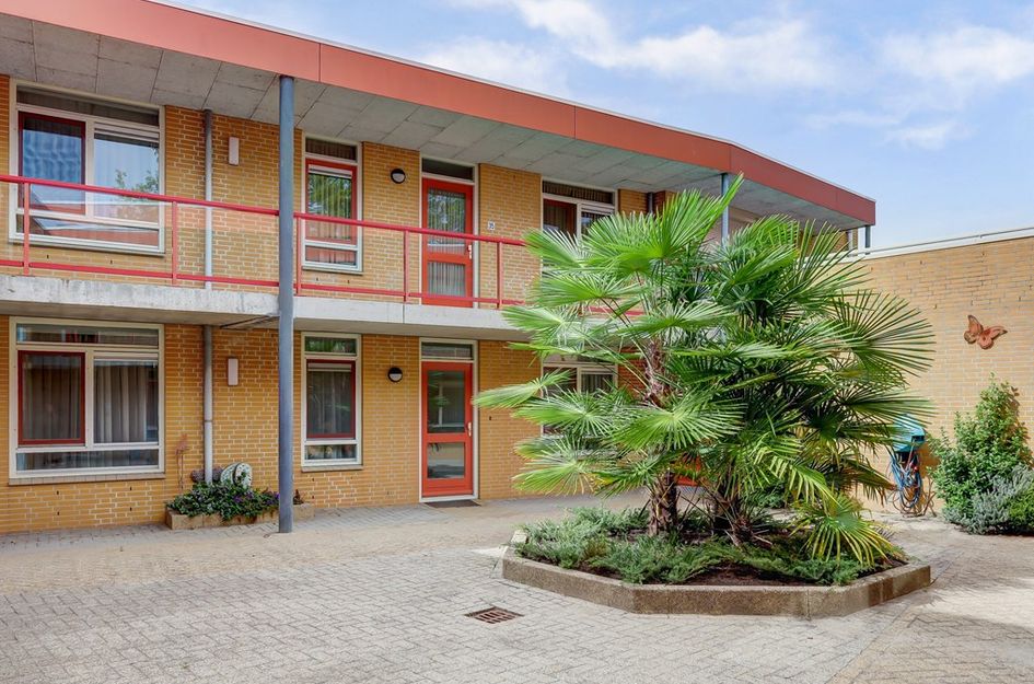 Apollostraat 39