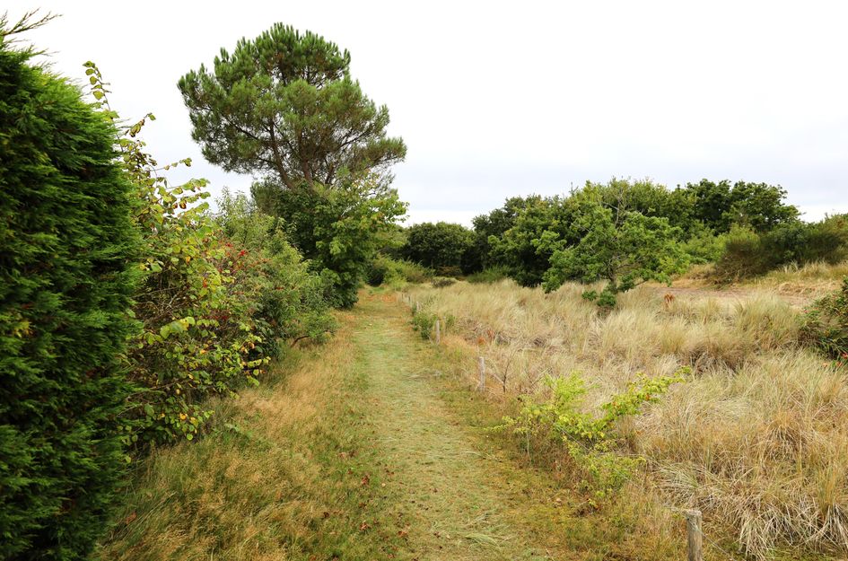 Heereweg 42 48