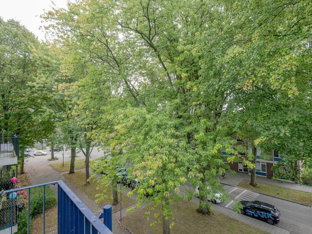 Schoonegge 273, Rotterdam