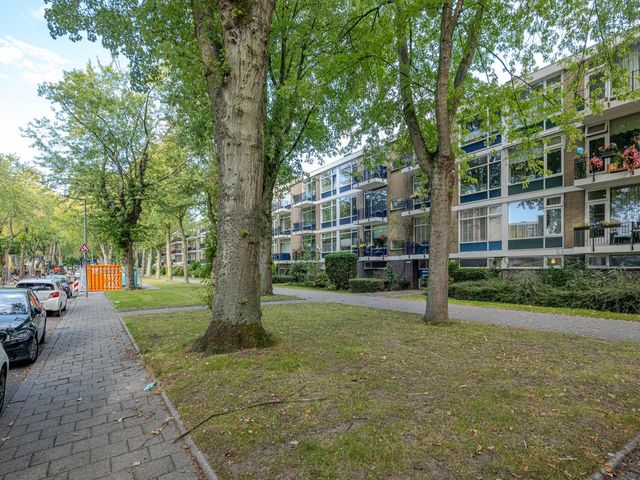 Schoonegge 273, Rotterdam