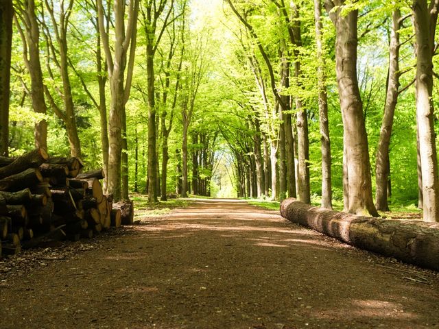 Rijksstraatweg , Elst Ut