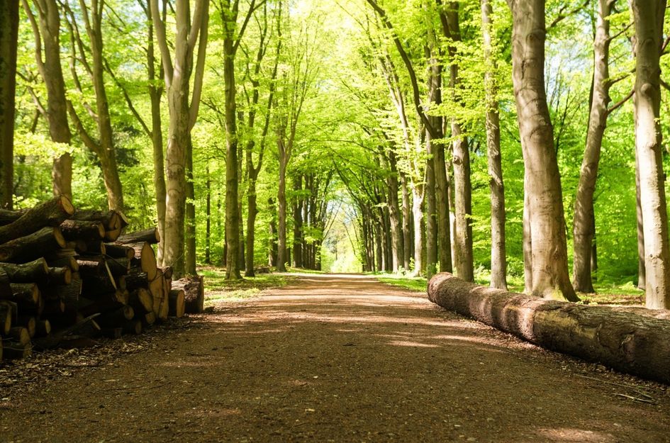 Rijksstraatweg 