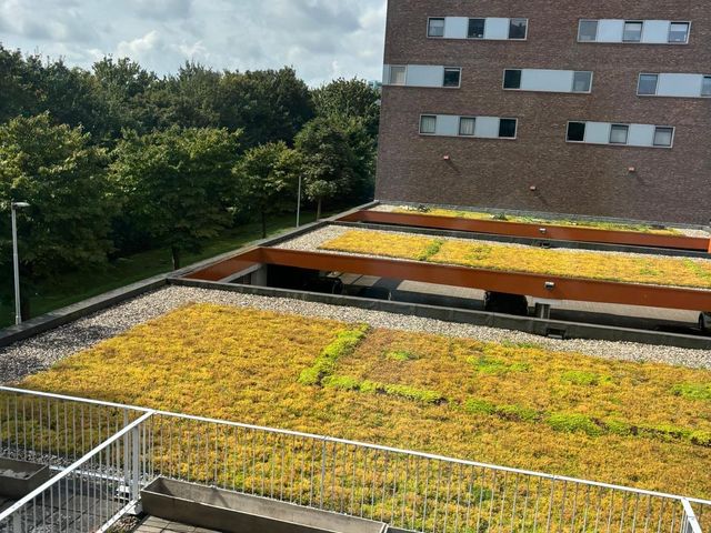 Zonnebaarsstraat 14, Hoogvliet Rotterdam