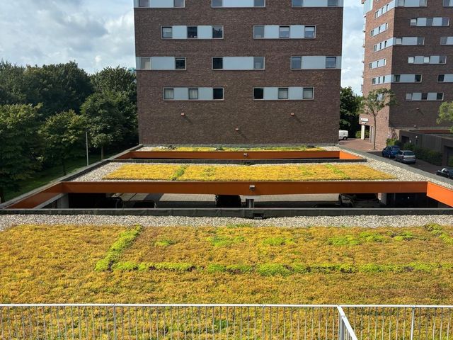 Zonnebaarsstraat 14, Hoogvliet Rotterdam