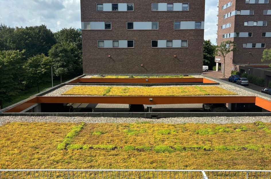 Zonnebaarsstraat 14