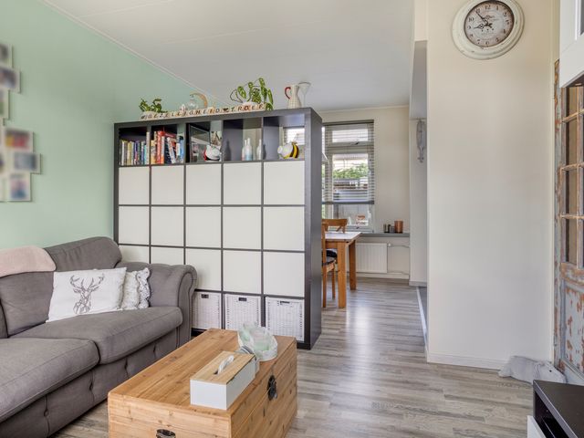 Jacintastraat 42, Graauw