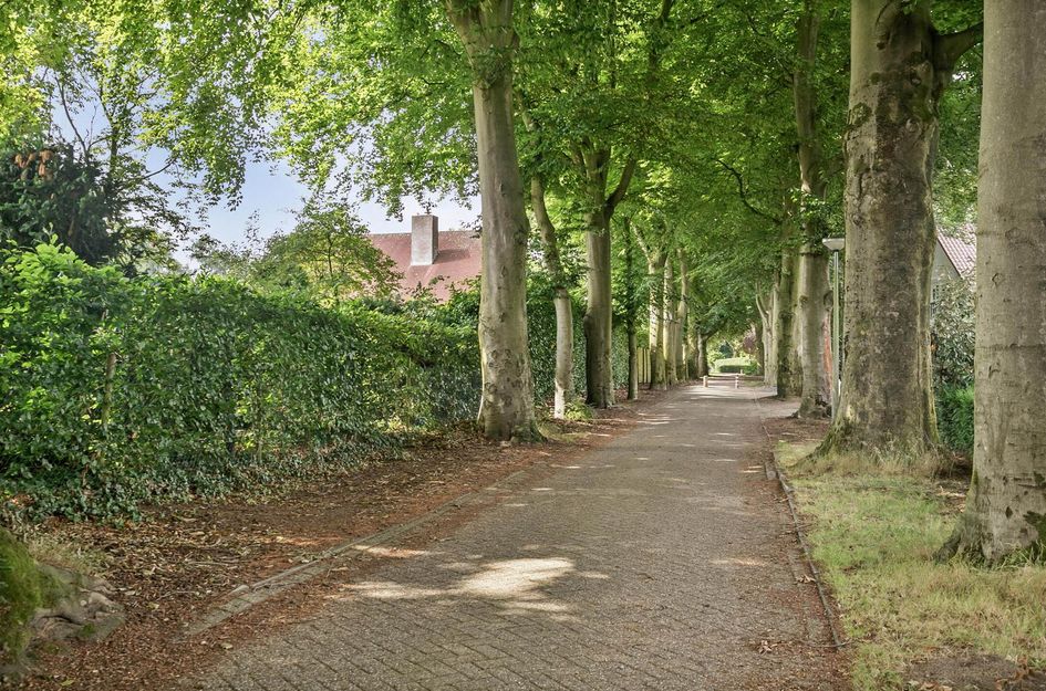 Heilige Stoel 6829