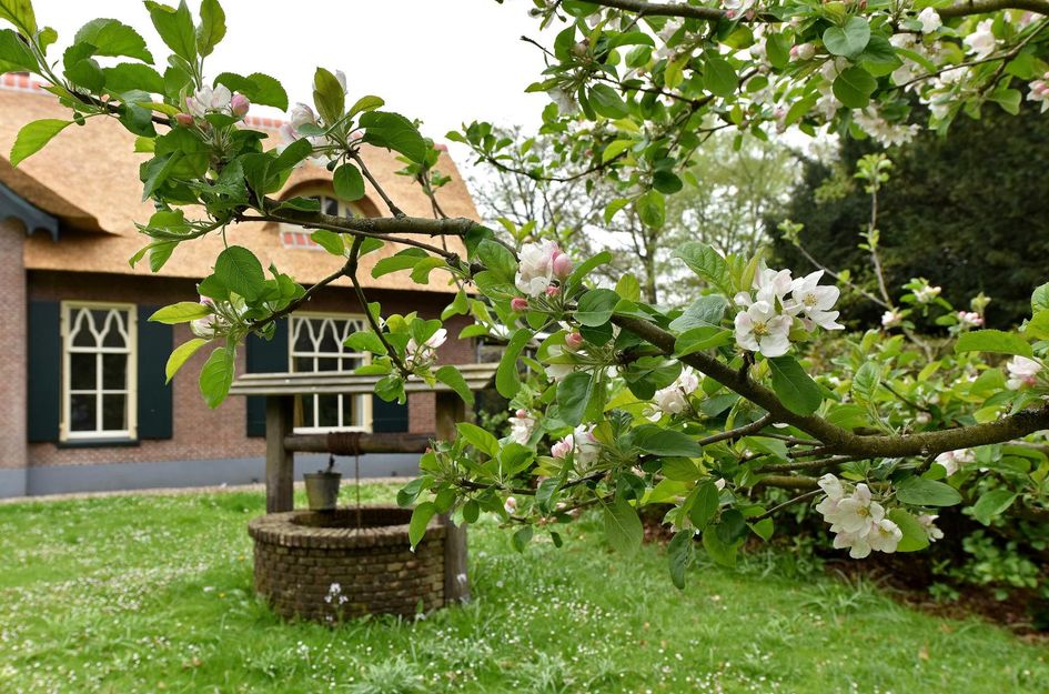 Hoofdstraat 212