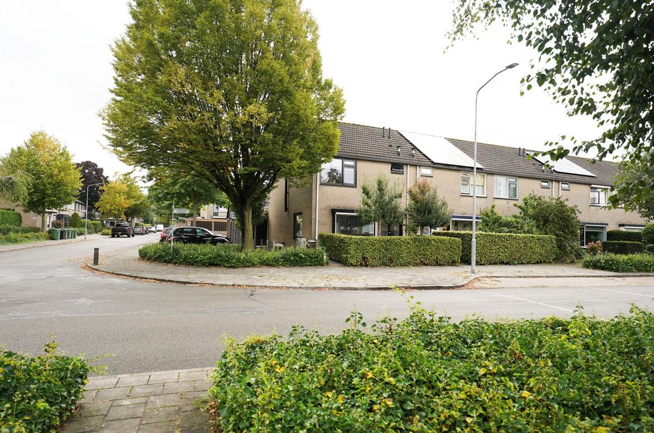 De Steenkamp 61