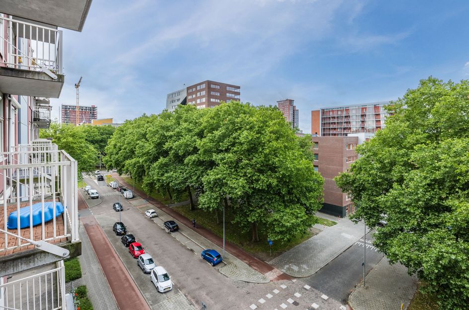 Koningslaan 280
