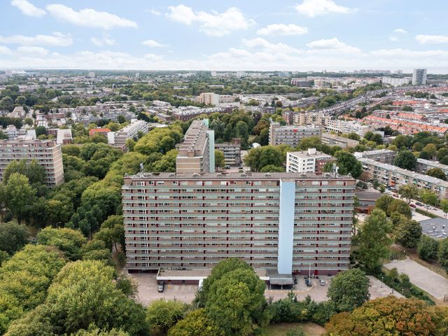 Heiloostraat 49, Den Haag