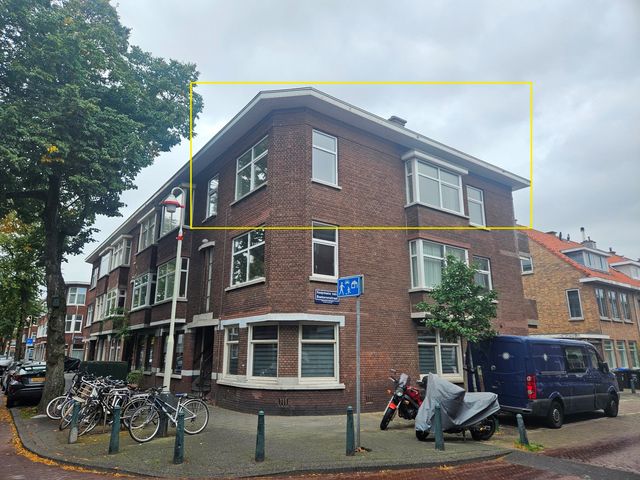 Linnaeusstraat 239, Den Haag