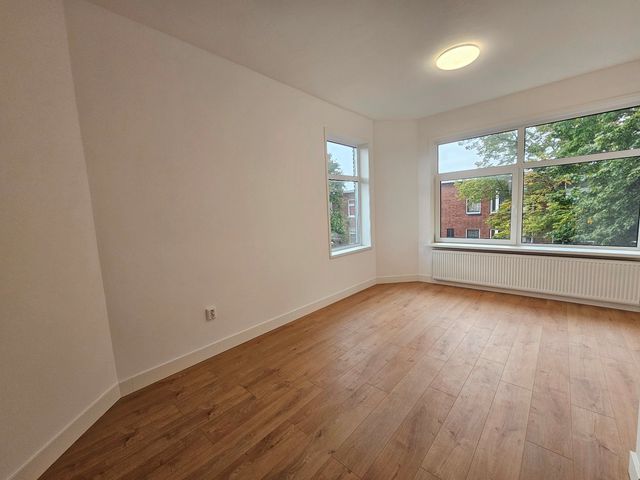 Linnaeusstraat 239, Den Haag