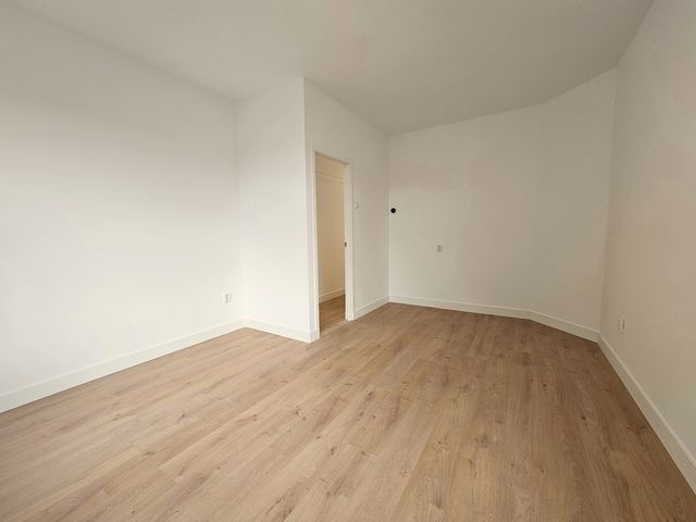Linnaeusstraat 239, Den Haag