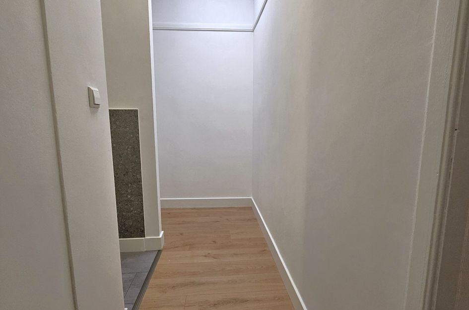 Linnaeusstraat 239