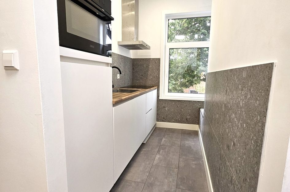Linnaeusstraat 239