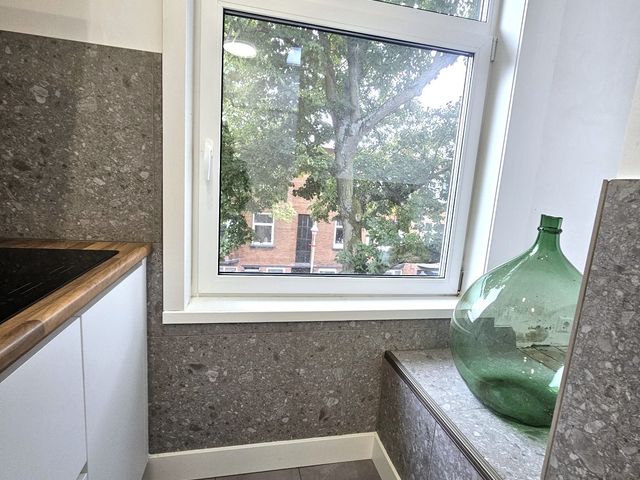 Linnaeusstraat 239, Den Haag